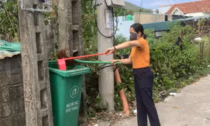 Hội LHPN xã Hạ Long: Góp sức cùng địa phương phát triển bền vững