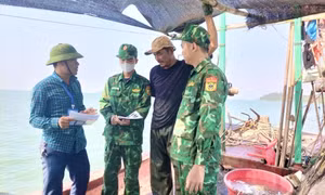 Hải Hà: Đoàn kiểm tra liên ngành tuyên truyền và xử lý 4 tàu cá vi phạm IUU