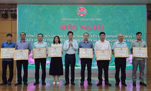 Hội Nông dân tỉnh đổi mới tuyên truyền, xây dựng tổ chức Hội vững mạnh