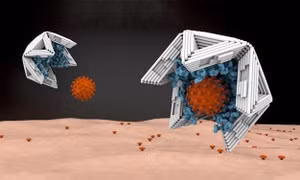'Bẫy' kích thước nano vô hiệu hóa virus truyền nhiễm