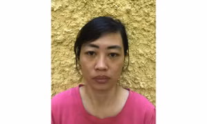 Nữ giúp việc “đột nhập” vào tài khoản ngân hàng của chủ nhà trộm tiền
