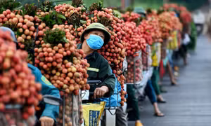 Bắc Giang trở về trạng thái 'bình thường mới'