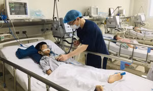 Cảnh giác với viêm não Nhật Bản khi nắng nóng