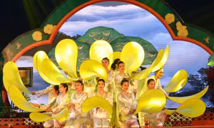 Nâng tầm trà hoa vàng Ba Chẽ