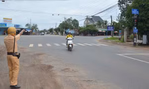 Không chấp hành hiệu lệnh của CSGT sẽ bị tước GPLX