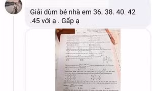 Nữ sinh 'tuồn' đề thi Toán là học sinh giỏi 3 năm liền