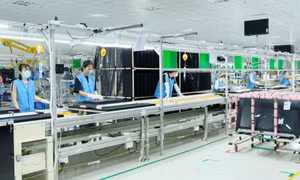 Thành lập Cụm công nghiệp Đông Mai (TX Quảng Yên)
