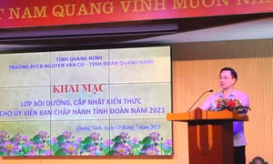 Bồi dưỡng, cập nhật kiến thức cho ủy viên Ban Chấp hành Tỉnh Đoàn