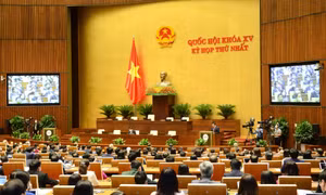 Phấn đấu tốc độ tăng trưởng kinh tế cao hơn mức bình quân của 5 năm 2016-2020