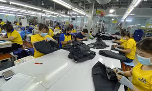 Doanh nghiệp khát lao động mùa dịch