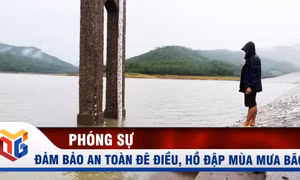 An toàn đê điều, hồ đập mùa mưa bão 