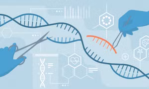 Công nghệ sửa đổi gene CRISPR có thể ngưng sự lan truyền của virus corona giữa các tế bào trên người