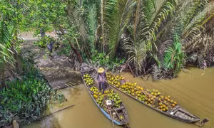 Xứ dừa Bến Tre yên bình