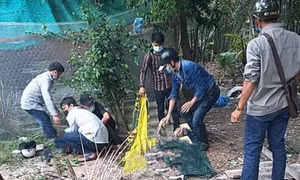 Bắt 7 đối tượng trong vụ hỗn chiến khiến 2 người tử vong ở Long An