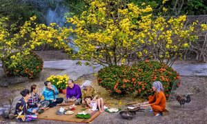Bức tranh vùng quê Hậu Giang