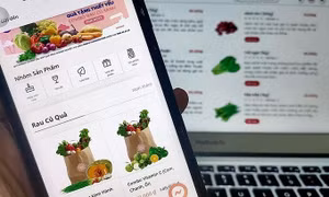 Doanh nghiệp không thiết yếu tìm cách tồn tại