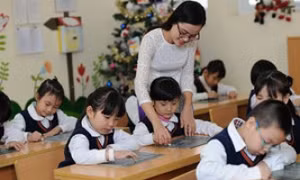 Có dùng chứng chỉ nghiệp vụ sư phạm bậc 1 để thi tuyển giáo viên?