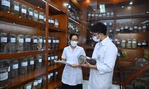 Phát triển thuốc hỗ trợ điều trị Covid-19