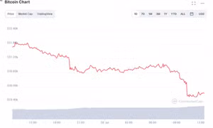 Nhà đầu tư hoảng loạn khi Bitcoin thủng mốc 30.000 USD, sẽ còn lao dốc sâu về 22.000 USD?