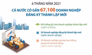 Sáu tháng đầu năm, gần 67.100 doanh nghiệp đăng ký thành lập mới