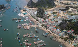 Thu hồi, hủy bỏ chủ trương nghiên cứu quy hoạch 7 dự án quá hạn, không phù hợp tại Khu kinh tế Vân Đồn