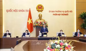 Đồng chí Trần Thanh Mẫn tiếp tục đảm nhiệm chức Phó Chủ tịch Thường trực Quốc hội