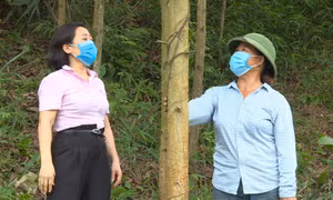 Để bà con vùng đồng bào DTTS vươn lên