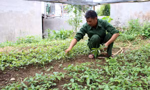 Tấm gương thương binh năng động