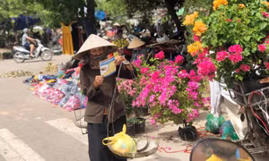 Lao động tự do sẽ được hỗ trợ như thế nào từ gói 26.000 tỷ đồng? 