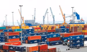 Chi phí logistics tăng vọt, doanh nghiệp xuất khẩu thủy sản nguy cơ lỗ