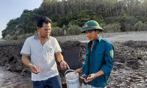 Ngọc Vừng: Khó xây dựng thương hiệu cho thủy sản đặc trưng