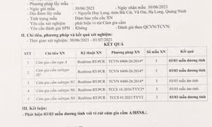 Quảng Ninh xuất hiện chủng cúm gia cầm lần đầu có tại Việt Nam