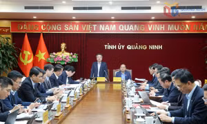 Ban Chính sách, chiến lược Trung ương làm việc với Ban Thường vụ Tỉnh ủy Quảng Ninh
