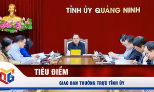 Giao ban Thường trực Tỉnh ủy