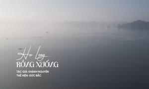 Hạ Long rồng xuống