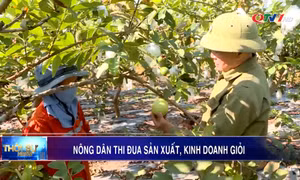 Nông dân thi đua sản xuất kinh doanh giỏi