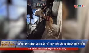 Công an Quảng Ninh cấp cứu kịp thời một ngư dân gặp nạn trên biển