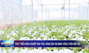 Phát triển nông nghiệp sinh thái, nông dân văn minh, nông thôn hiện đại