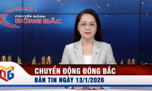 Chuyển động Đông Bắc ngày 13/1/2026