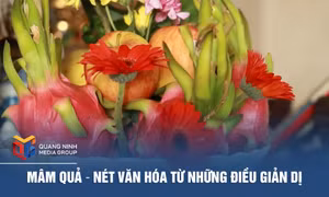 Mâm quả - nét văn hóa từ những điều giản dị