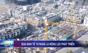 Đưa kinh tế tư nhân là động lực phát triển