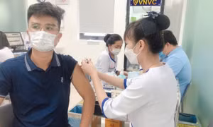 Không chủ quan với bệnh dại