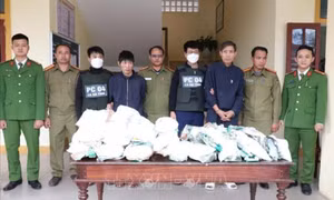 Bắt giữ 2 đối tượng vận chuyển trái phép 31kg ma túy