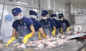 Nhiều ngành bị sụt đơn hàng, thách thức cho nguồn thu xuất nhập khẩu