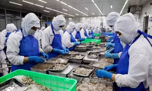 Nhiều dư địa cho hàng Việt Nam sang thị trường Âu-Mỹ