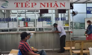 Người đi tiêm ngừa dại tăng 300%: Cảnh báo những sai lầm khi bị chó mèo cắn
