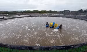 Chàng trai dân tộc Dao kiếm tiền tỷ nhờ mô hình nuôi tôm