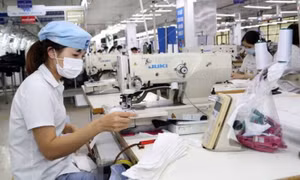 Số đông doanh nghiệp trong nước đang gặp rất nhiều khó khăn