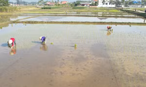 Đông Triều đảm bảo nguồn nước sản xuất và sinh hoạt