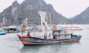 Số hóa trong quản lý tàu cá và khai thác hải sản